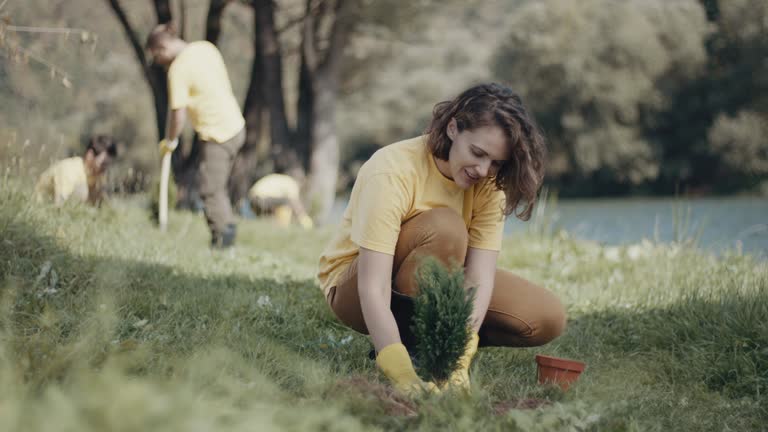 Best Root Management and Removal  in Mountain City, TN